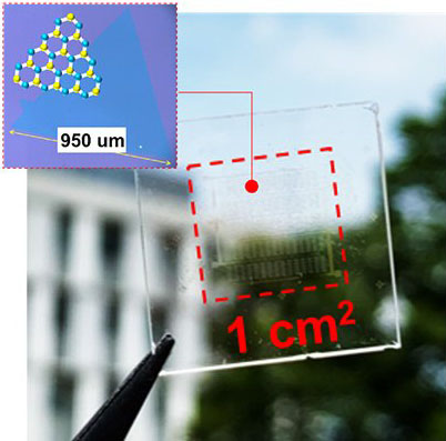 An optical image of a highly-transparent solar cell fabricated with a 2D atomic sheet
