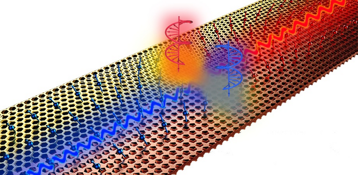 Unidirectional excitation of metamaterial interface waveguides; the chirality of the source decides the direction of energy flow along the edge