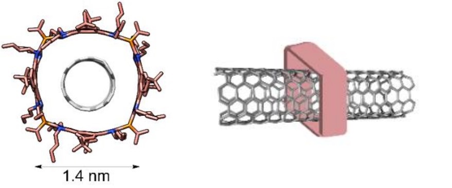 Modelo de energía minimizada y representación esquemática del enclavamiento mecánico de nanotubos de carbono con moléculas