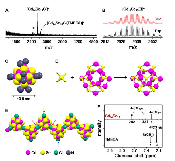 Composition and structural characterization of the Cd14Se13 cluster