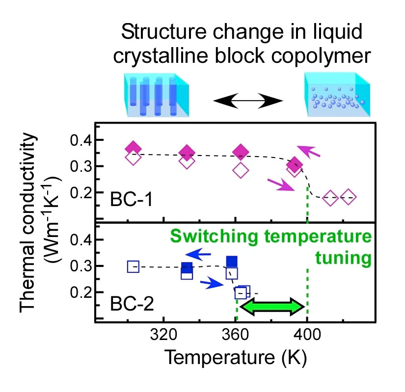 Temperature dependence of thermal conductivity in two kinds of liquid crystalline block copolymer