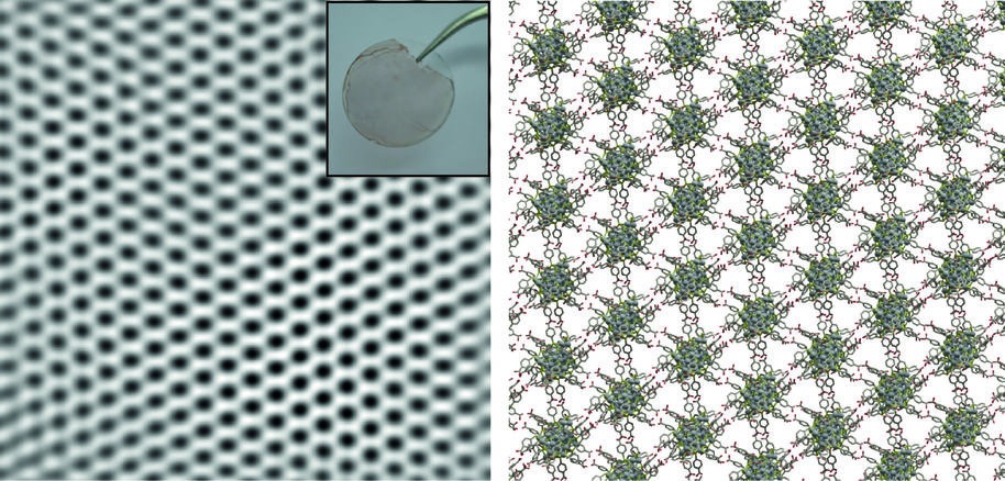 Electron microscopy image (inset: photograph of membrane on a glass cover slip) and a schematic representation of nanoparticle membrane