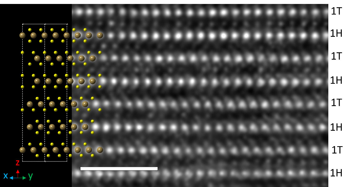 Electron microscopy image of the synthesized 6R TaS2 with an atomic model of the material on the left