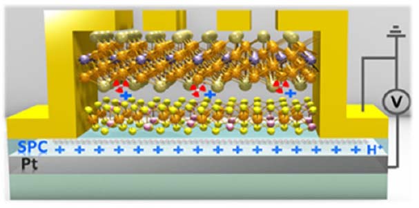 a solid-proton field-effect transistor (SP-FET) mounts the AFM-FM heterostructure within electric contact (gold), mounted on a solid protonic conductor (SPC) and gate electrode (Pt)
