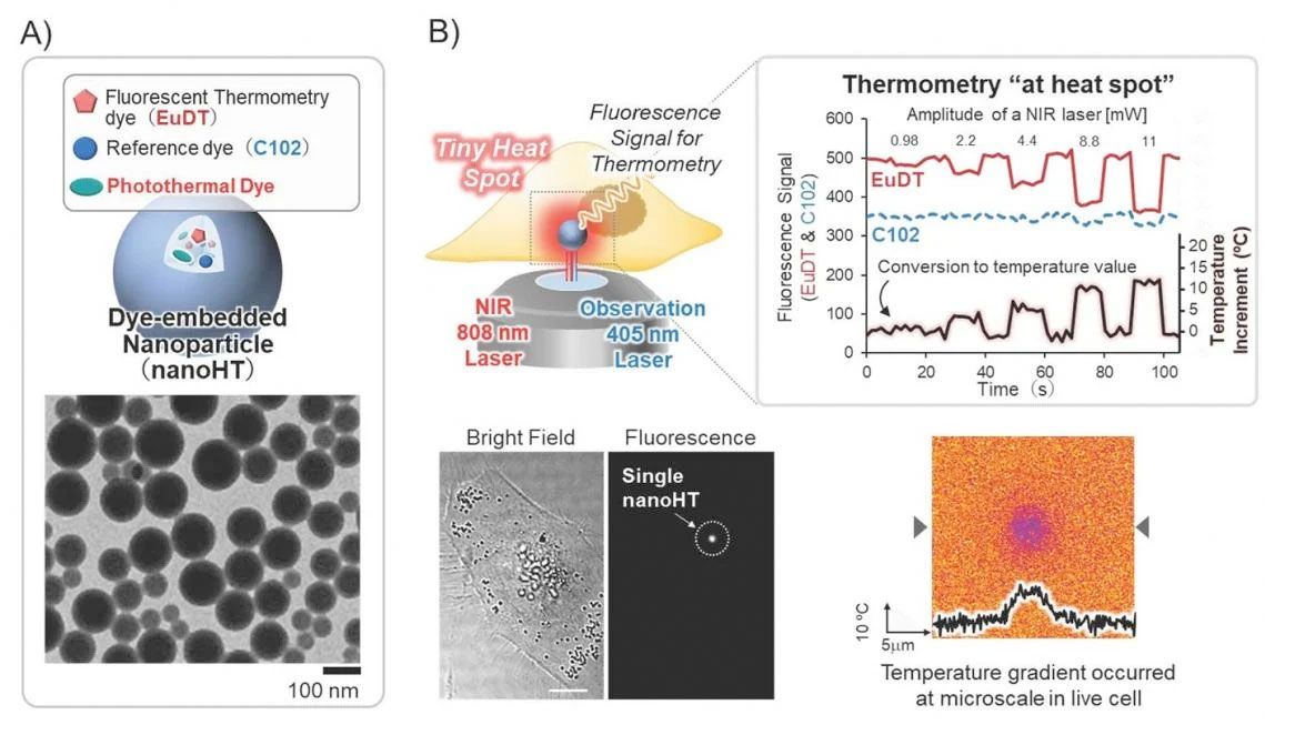 Microscopic system for nanoheating