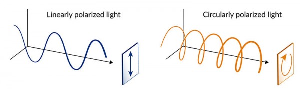 linearly and circularly polarized laser light