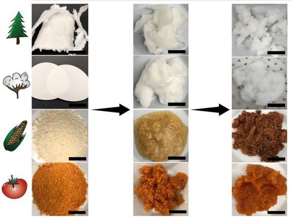 After soaking the materials in water (as shown in middle column), researchers chemically reacted shredded wood pulp, cotton paper and ground corncob and tomato peels to convert them into microproducts, nanoparticles and solubilized biopolymers (third column)