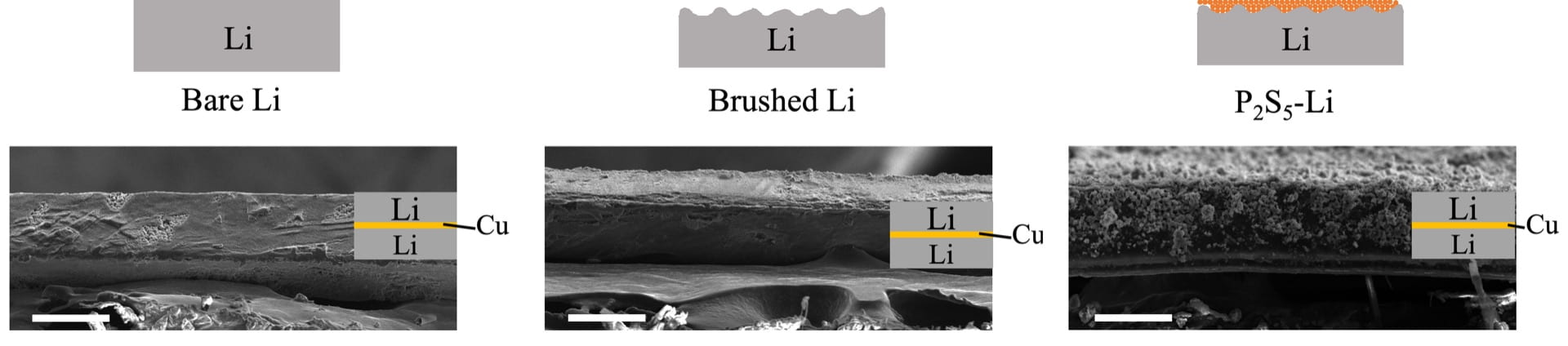 Scanning electron microscope images show a sequence of lithium foils