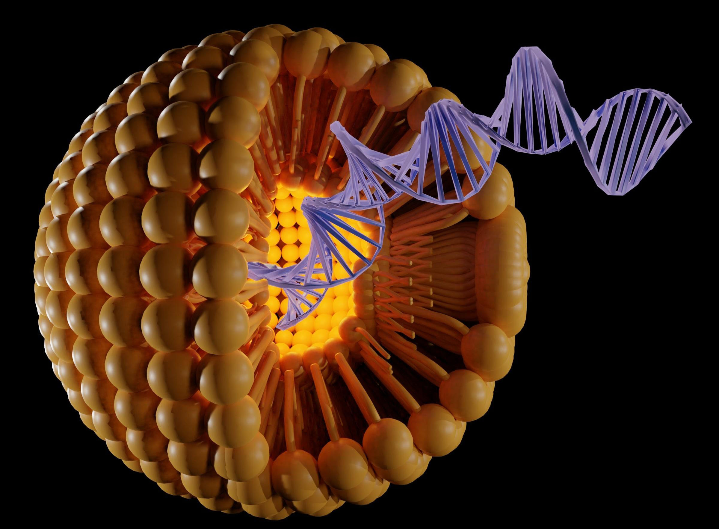 Новая платформа ускоряет разработку липидных наночастиц для доставки генетической медицины
