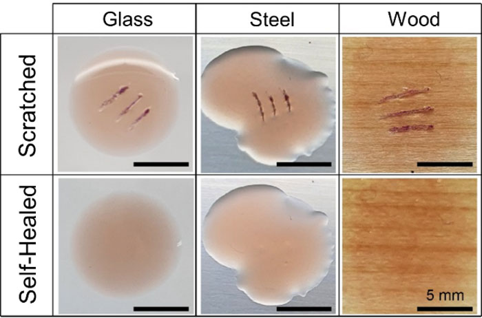 Mechanochromic and self-healing coatings on diverse substrates
