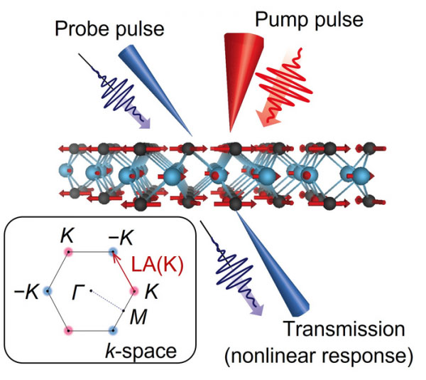 exciting transitional metal dichalcogenide monolayers with ultrashort pump pulses