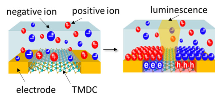 Ion gel layer and the TMDC in-plane heterostructure