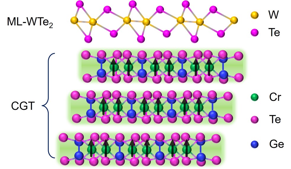 stacked monolayer WTe2 with Cr2Ge2Te6