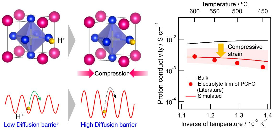 compressive strain increases the barrier to proton diffusion, thus reducing proton conductivity