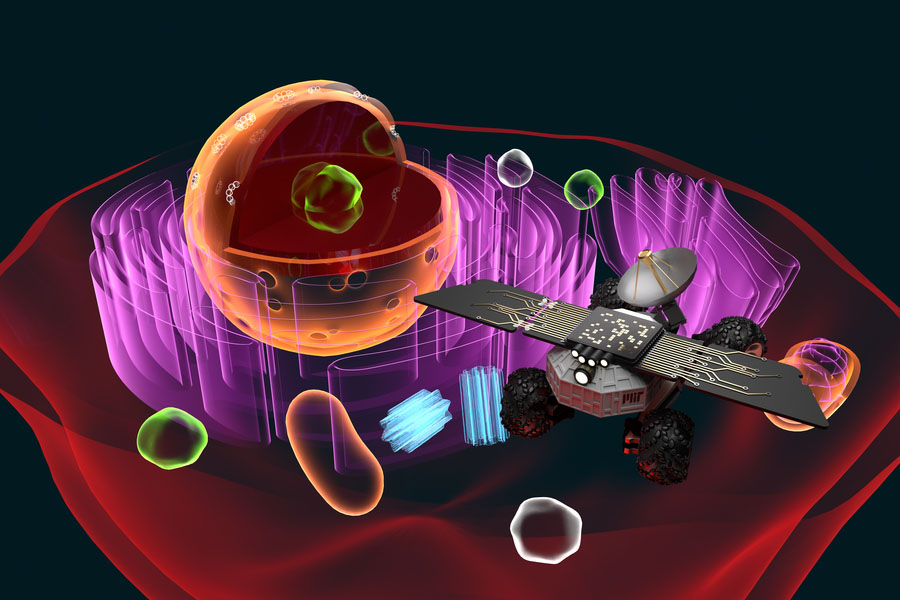 An artist's rendition of the Cell Rover, an intracellular antenna for exploring and augmenting the inner world of the cell