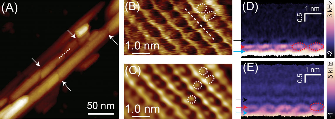 AFM image of the cellulose-water interface