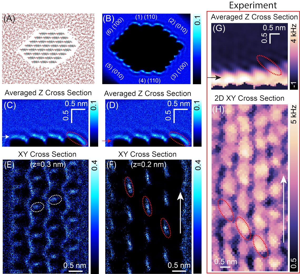 Simulated water-density distribution around different crystalline planes of a CNC surface
