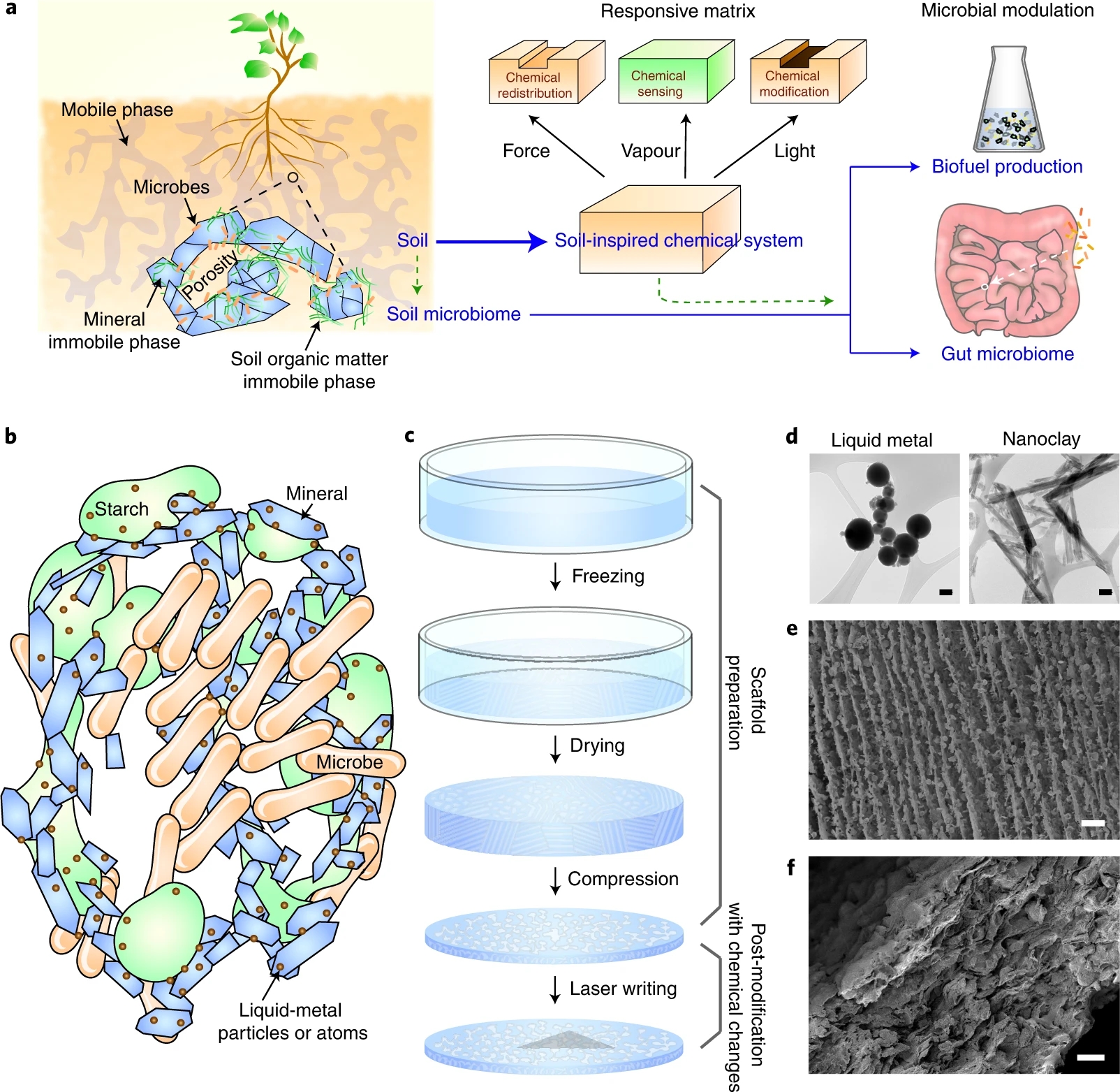 Soil-inspired dynamically responsive chemical system for microbial modulation