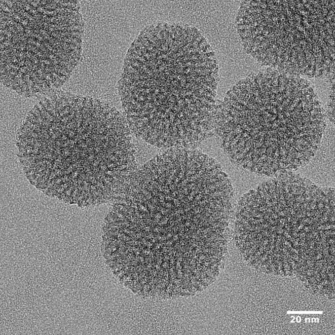 electron micrograph of silica nanoparticles