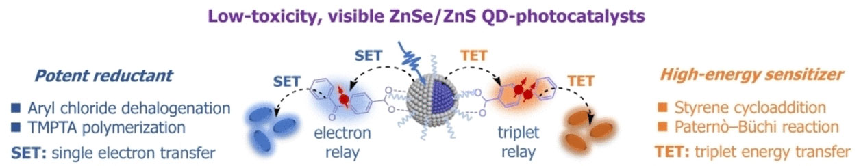 Low toxicity, high efficiency: ZnSe/ZnS quantum dots as photocatalysts