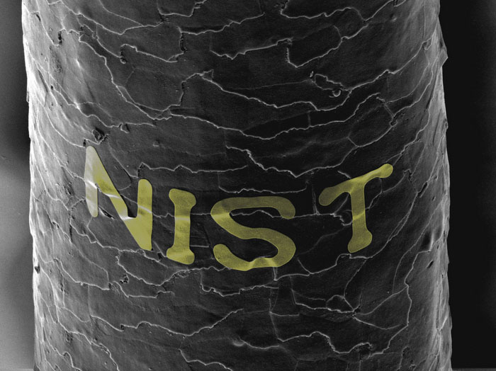 NIST printed on a human hair in gold letters