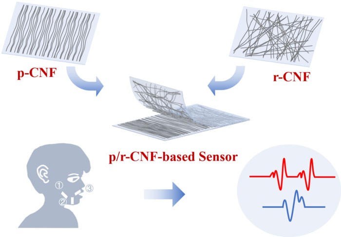 Stacking carbon nanofibers with different alignment advances flexible strain sensor performance