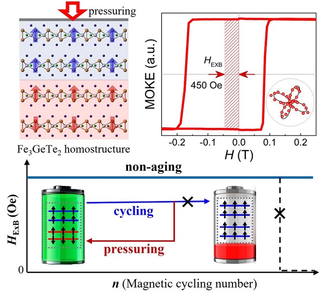 Magnetic transition of Fe3GeTe2 induced by uniaxial compression, magneto-optical phenomenon of Fe3GeTe2 after compression and exchange bias effect of Fe3GeTe2 non-aging, extensible and recoverable