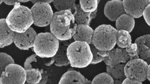 mesoporous silica nanoparticles