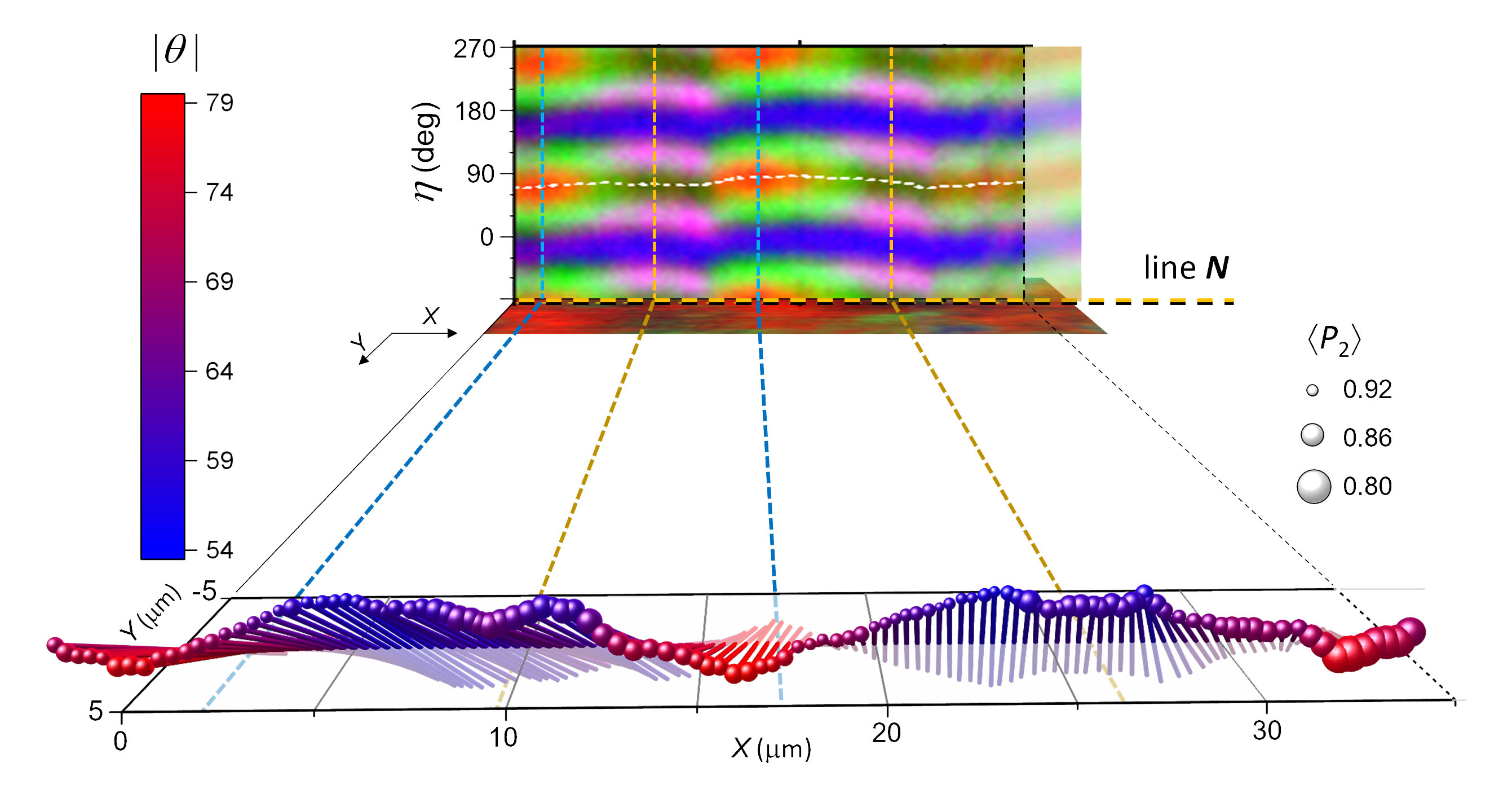 measuring the 3D orientation of molecules within polymers