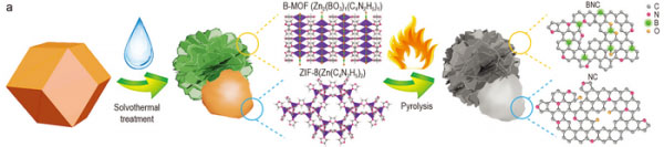 A Janus MOF heterostructure composed of ZIF-8 crystals and boron-containing MOF nanosheets
