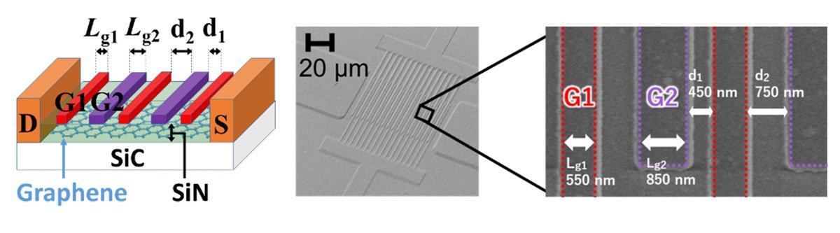 Epitaxial Graphene Asymmetric Dual-Grating-Gate Field-Effect Transistor