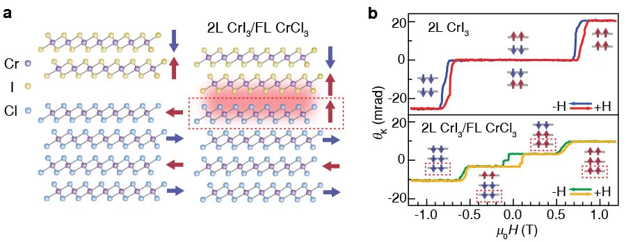 Schematics of the magnetic ground states in bilayer (2L) CrI3 and few-layer (FL) CrCl3 before (left) and after (right) forming heterostructure