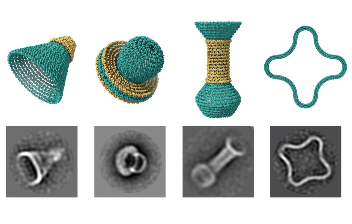 nanostructures made of concentric rings of DNA