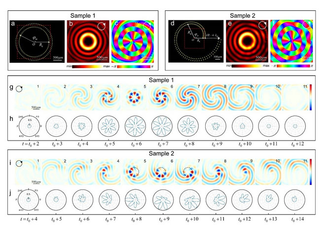Coupler design and corresponding intensity fields and phase distributions for plasmonic vortices