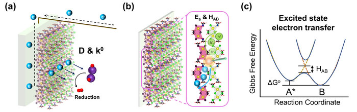 Schematic illustration of a photoelectrode deposited with a bismuth-based halide perovskite photocatalyst