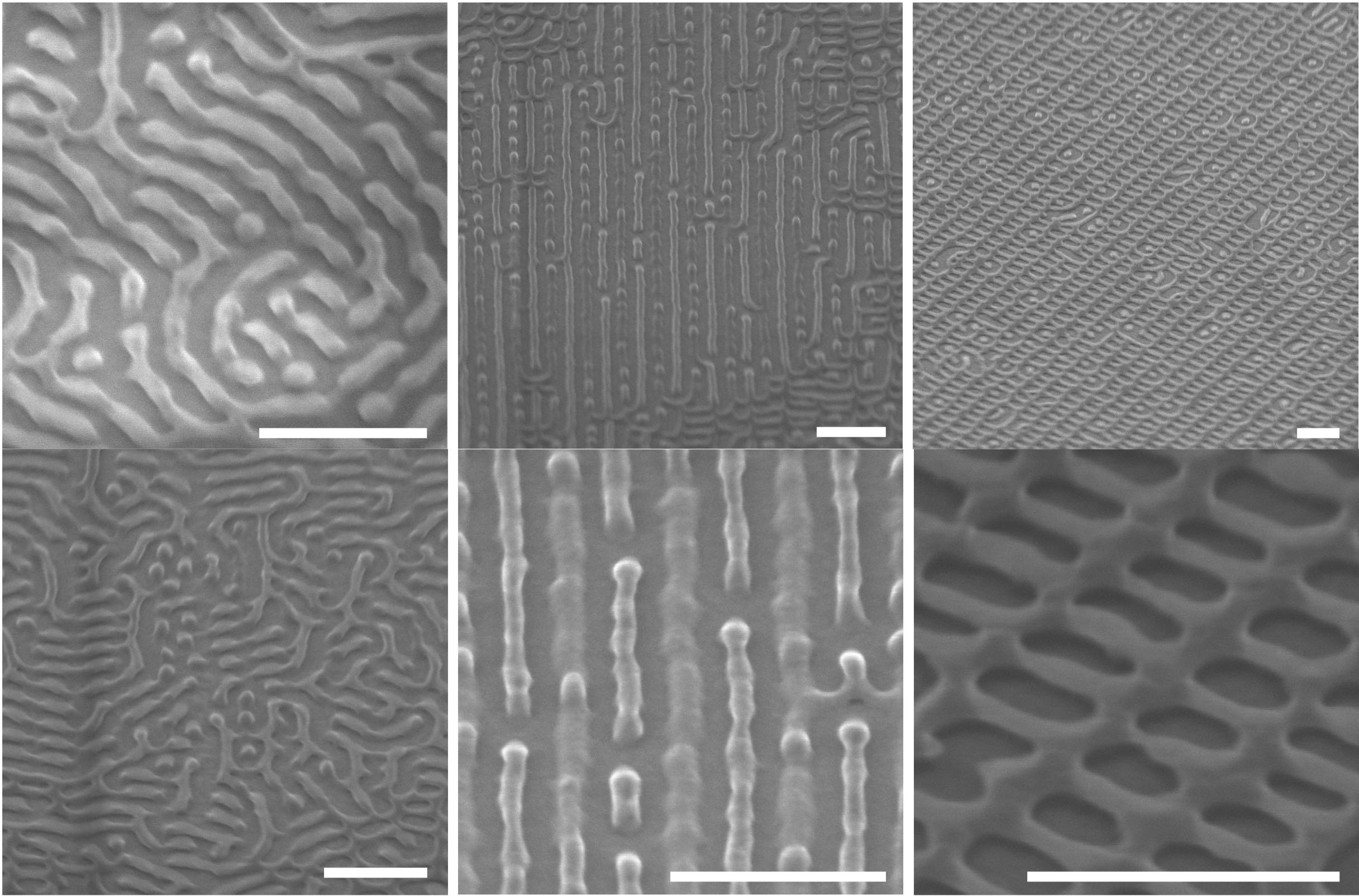 Scanning-electron microscopy images depict novel nanostructures discovered by artificial intelligence