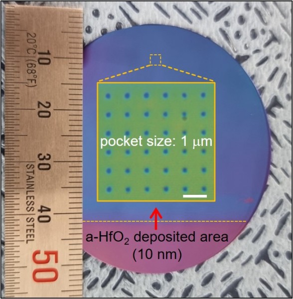 Non-epitaxial single crystalline 2D materials at wafer-scale
