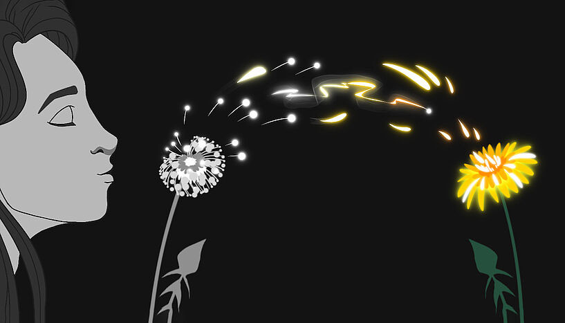 metamorphosis of a dandelion into a blowball
