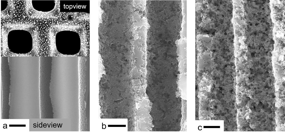 Electron micrograph of the one-micrometre macropores before etching, after 20 and after 45 minutes of etching