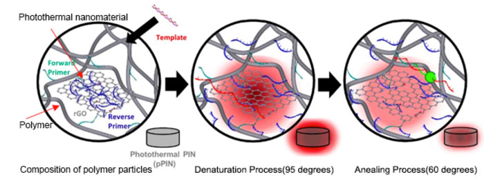 Schematic diagram of PCR temperature cycle using the photothermal effect in polymeric microparticles