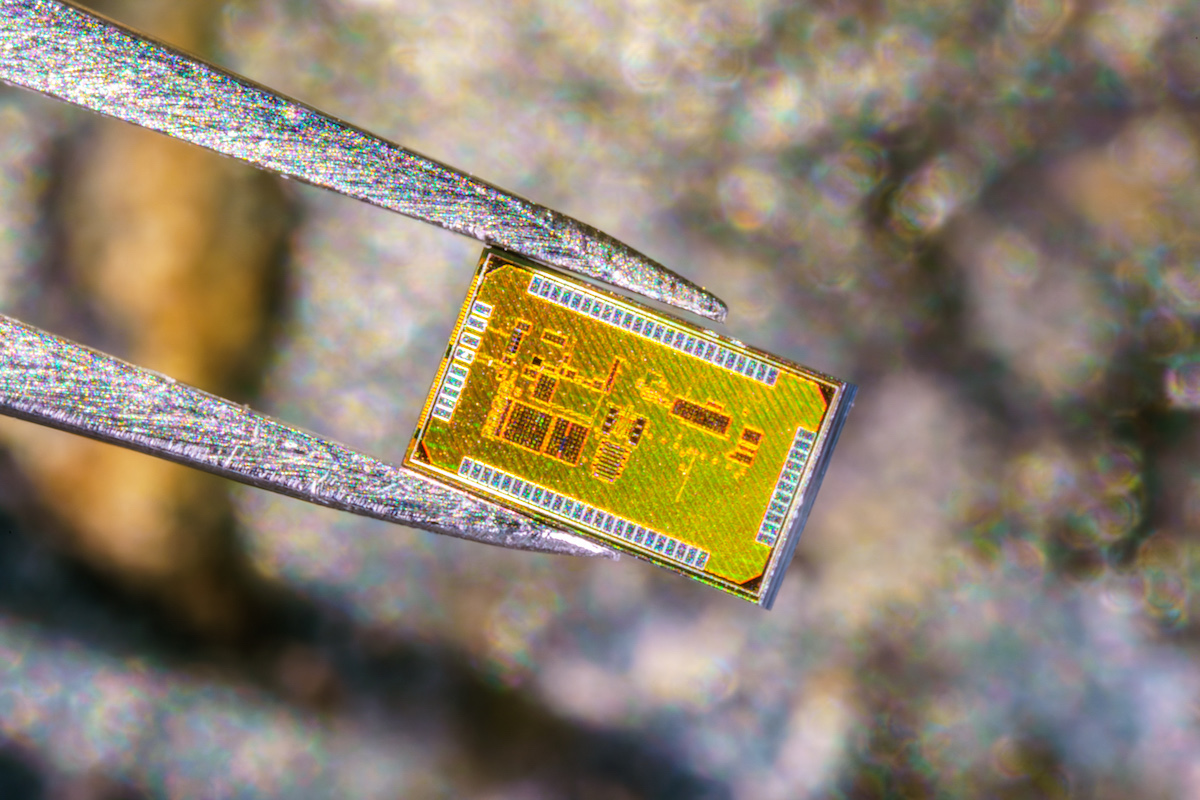 Close up of a chip between tweezers