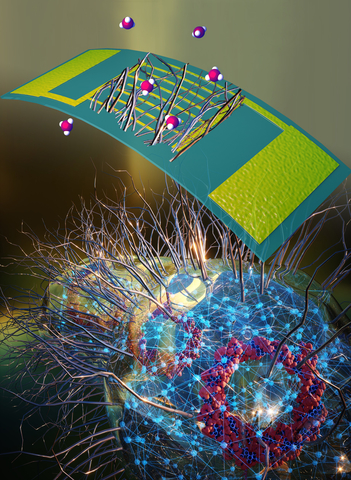 nanowire sensor