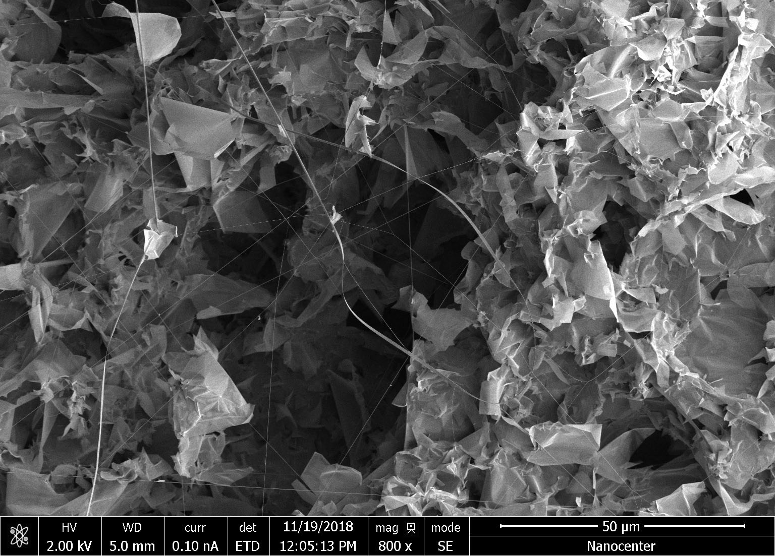 Electron microscope image of as-grown MoS2 nanomaterial, with flakes, ribbons, and nanotubes