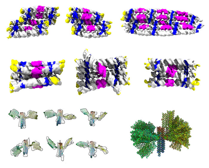 Gallery of different RNA origami structures