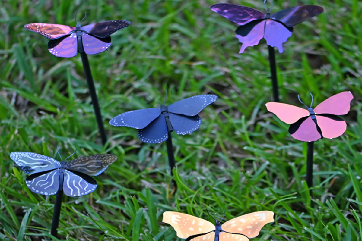 model butterflies on grass