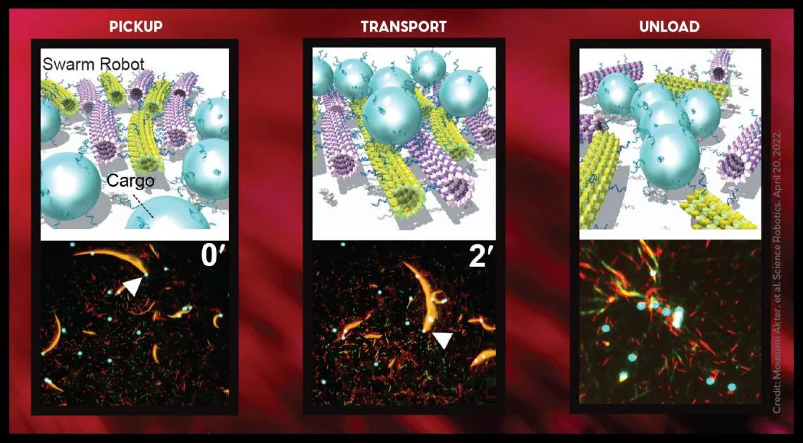 A swarm of molecular robots collect, transport and unload cargo