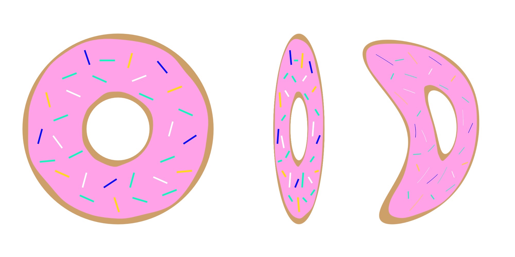 A doughnut under different geometric transformations