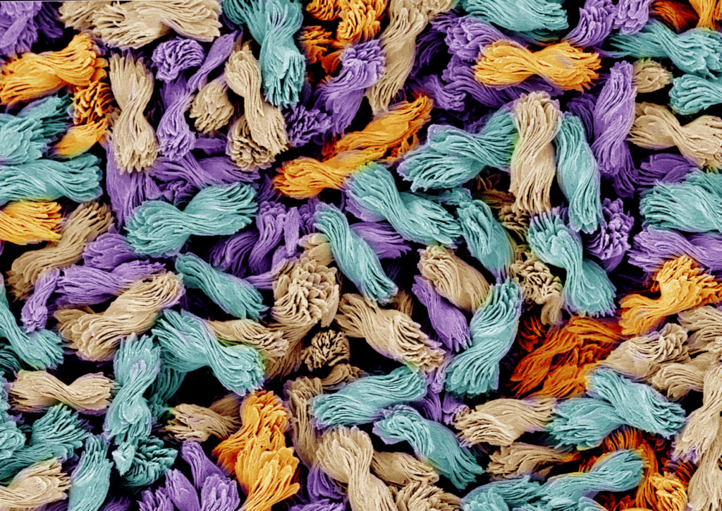 Micron-scale bowties with candy-wrapper twists in a colorized electron microscope image