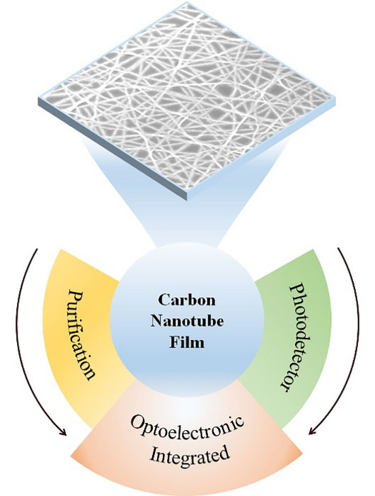 Carbon nanotube films as photodetector materials