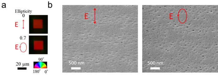 Efficient writing of anisotropic nanopores in glass